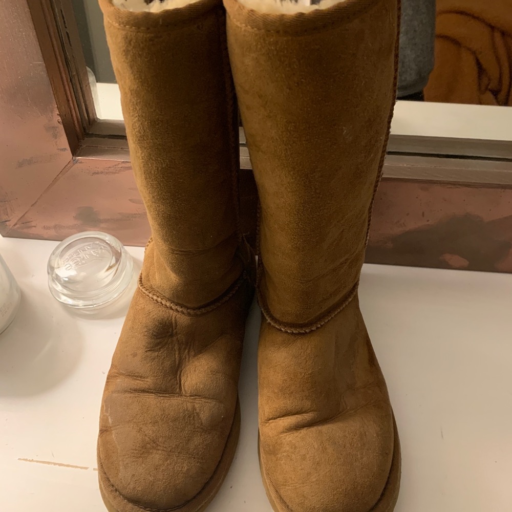 Tall chestnut uggs